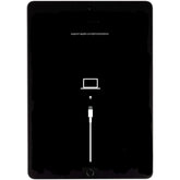 iPad Mini 2 Software Recovery Service